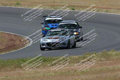 media/May-04-2024-Lucky Dog Racing (Sat) [[d39539b3f3]]/Race Pics/1015am (Turn 2)/